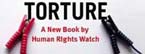 Torture: A Human Rights Perspective