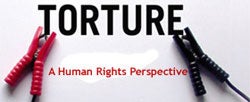 Torture: A Human Rights Perspective