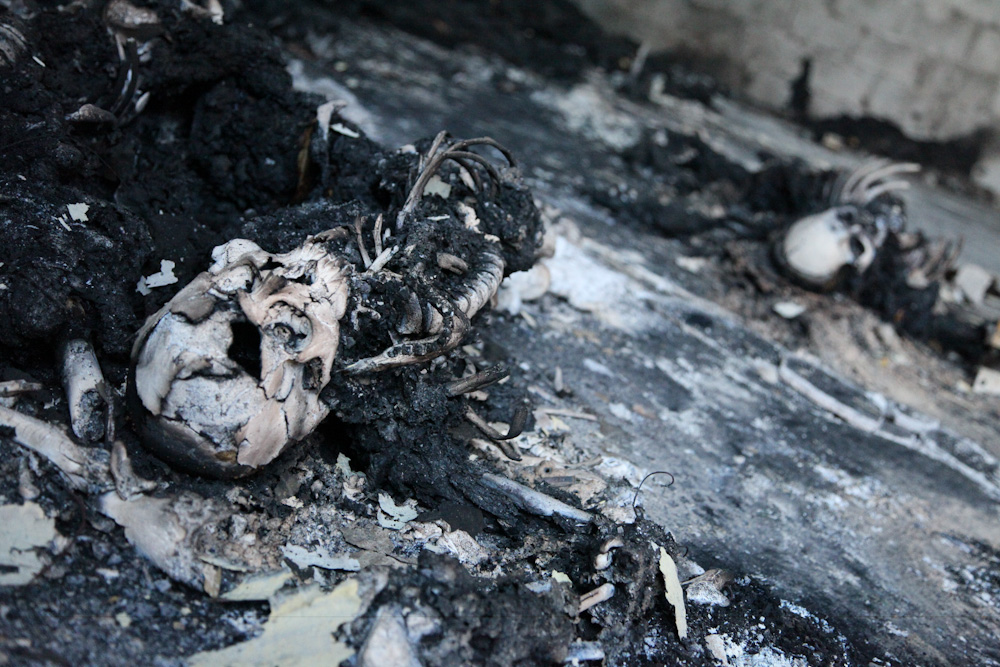 burned human remains