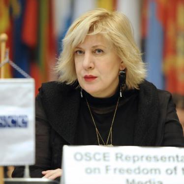 OSCE Representative on Freedom of the Media Dunja Mijatovic, at the Permanent Council in Vienna, 16 January 2014.