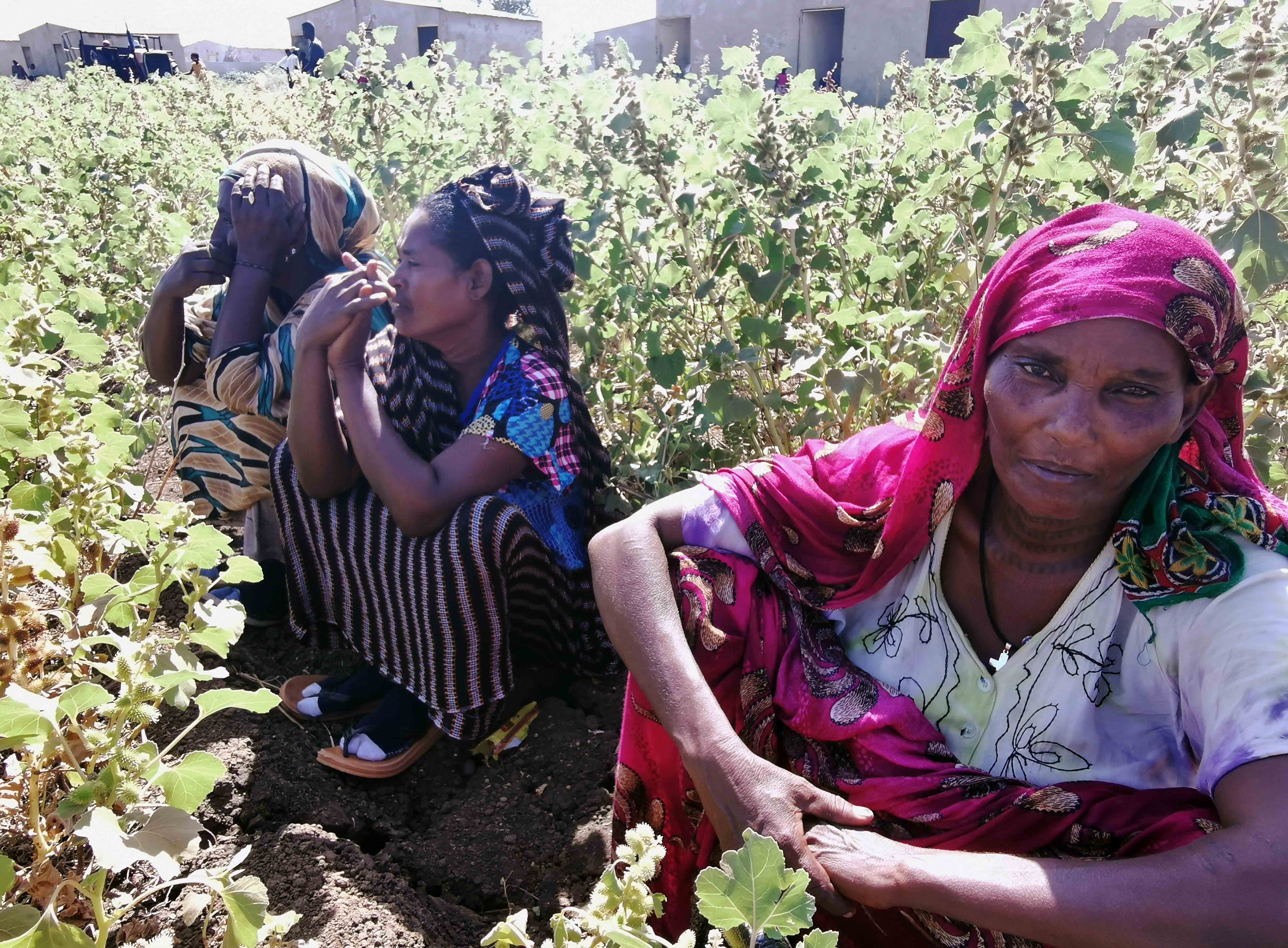 Athiopien Bevolkerung Angesichts Eskalationen In Tigray Schutzen Human Rights Watch