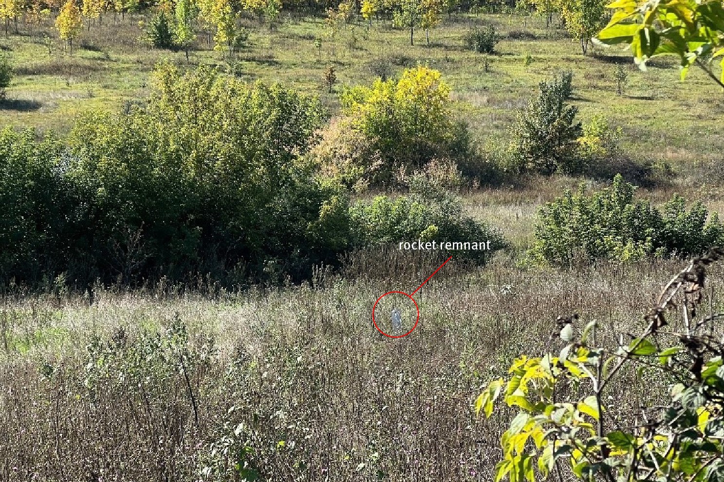 Ukrainian Snipers Ditch Ghillie Suits but Keep These Western Rifles