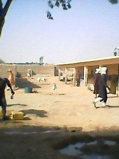 Photo showing goats and men in an outdoor area of a prison