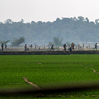 A group of people run through field. 