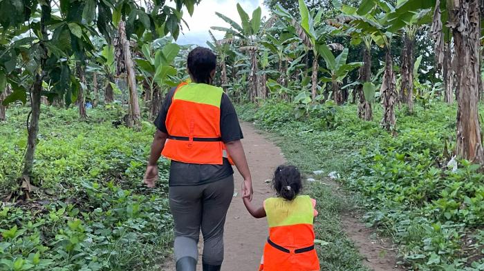 Seven-fold increase in the number of children walking through the  Panamanian jungle towards North America this year