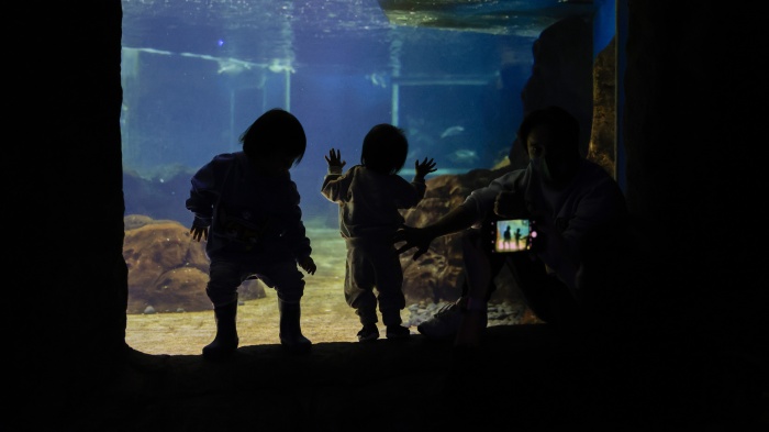 Two young children look at fish as an adult takes their photo at Sea Life Sydney Aquarium, Sydney, Australia, October 14, 2021.