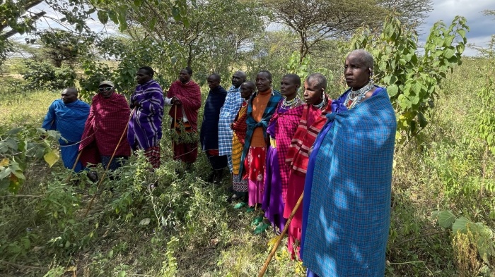 A group of Maasai women and men in traditional Maasai clothing and jewelry