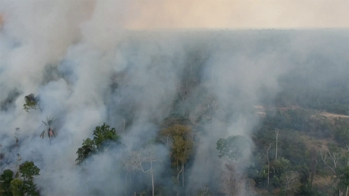 ブラジル アマゾン火災が数千人の健康に悪影響 Human Rights Watch
