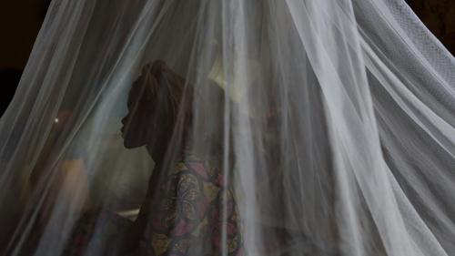 3d Sex Xxx Video 17 - They Said We Are Their Slavesâ€: Sexual Violence by Armed Groups in the  Central African Republic | HRW