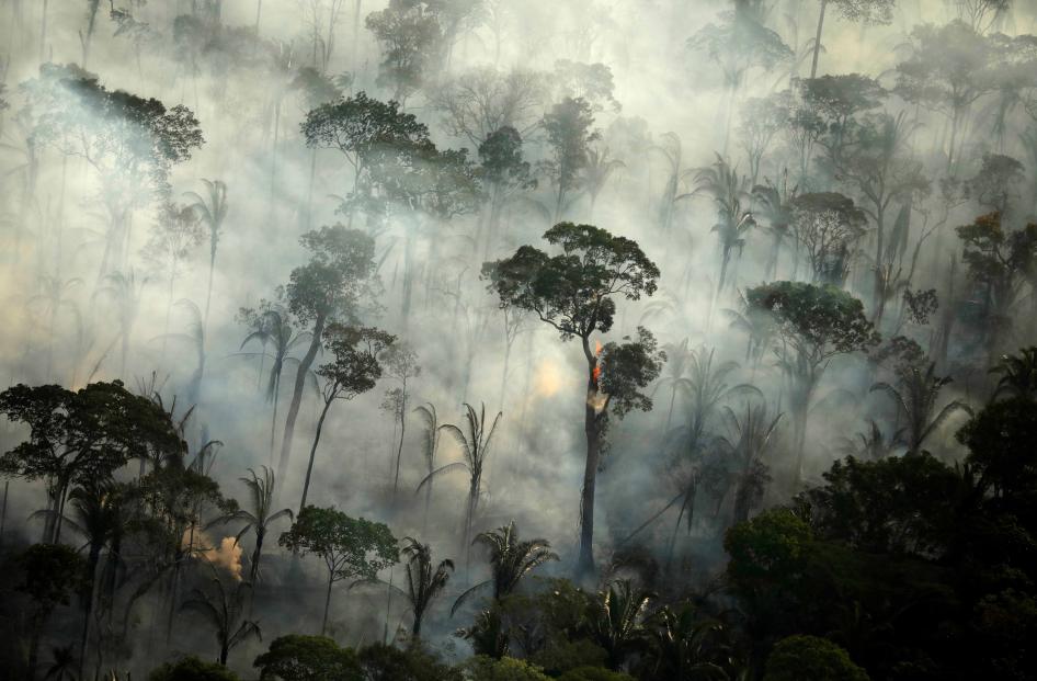 The Air is Unbearable”: Health Impacts of Deforestation-Related