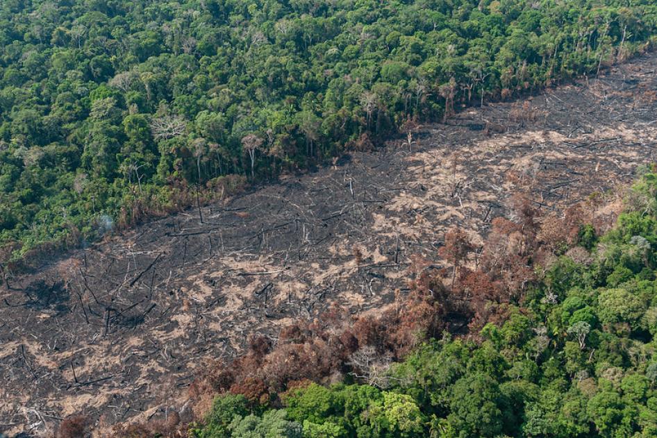 pledges support to forests and communities in the Brazilian