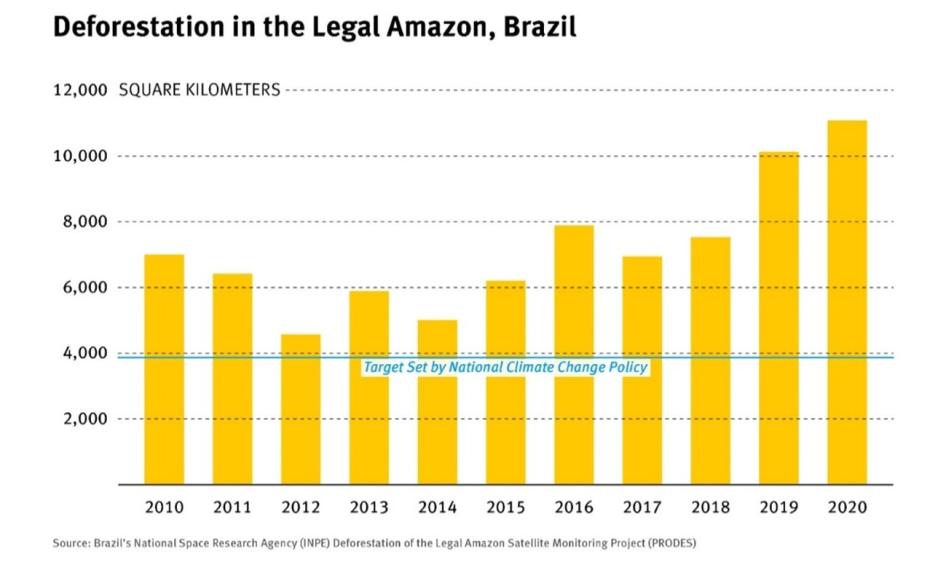 Crisis in the Brazilian Amazon | Human Rights Watch