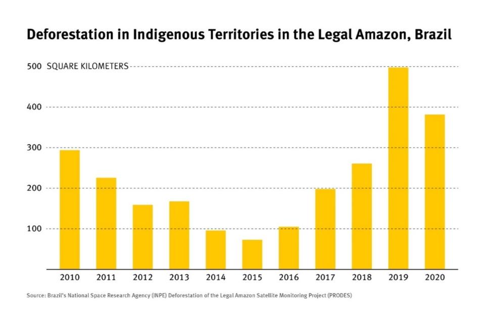 Letter on the Amazon and its Defenders to the Organisation for Economic  Cooperation and Development (OECD) | Human Rights Watch