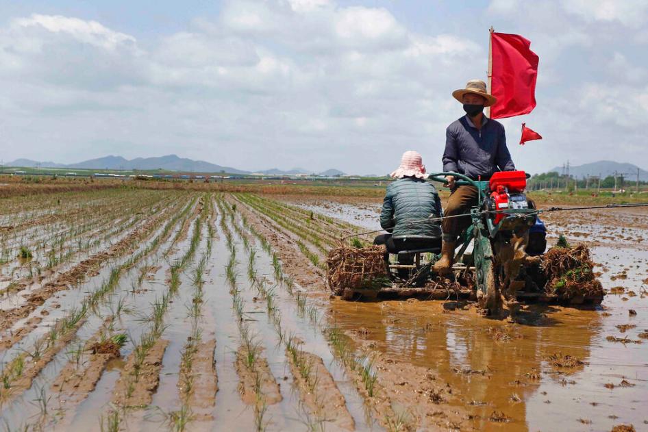 202109northkorea forced labor youth