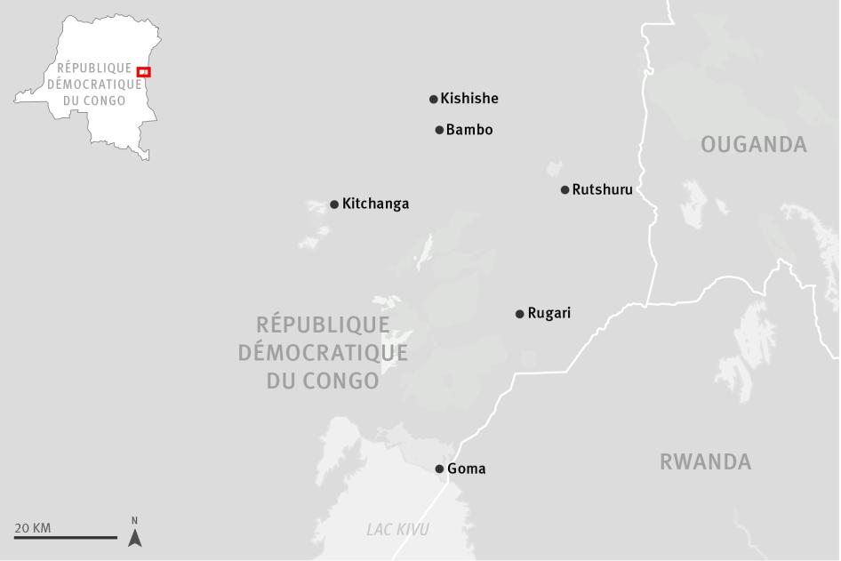 Drapeaux en berne, la RDC pleure ses filles et fils massacrés par l'armée  rwandaise et le M23