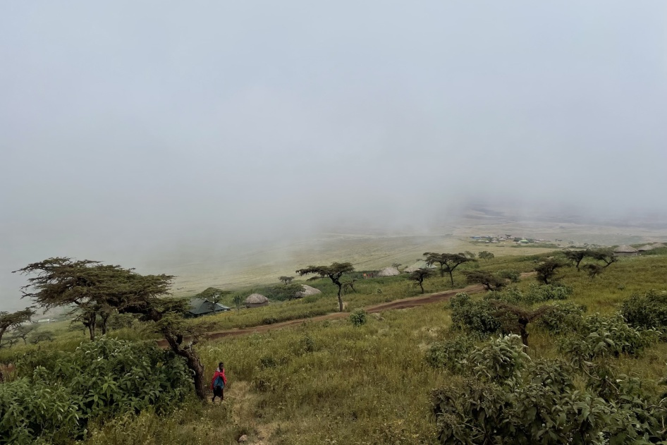 Maasai bomas on a foggy morning 