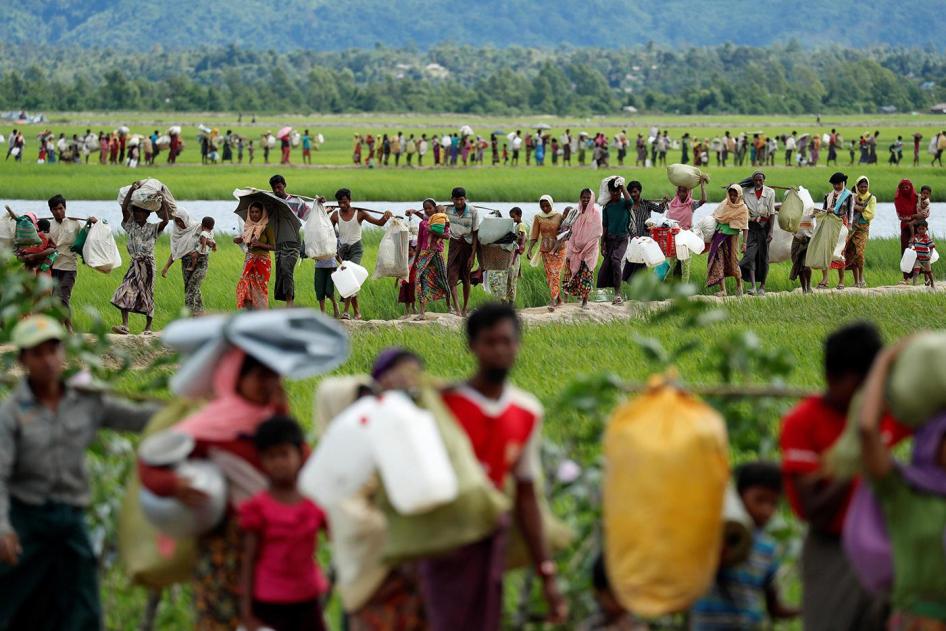 Pengungsi Rohingya berjalan melalui sawah setelah melintasi perbatasan dari Burma ke Palang Khali, dekat Cox's Bazar, Bangladesh, 19 Oktober 2017. 