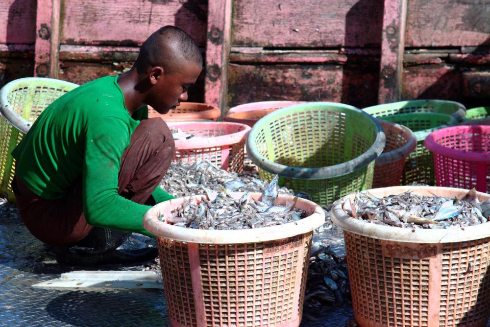 Hidden Chains: Rights Abuses and Forced Labor in Thailand's Fishing  Industry | HRW
