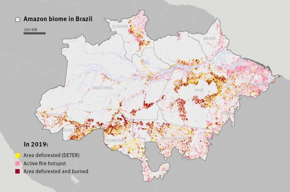 The Air is Unbearable”: Health Impacts of Deforestation-Related Fires in  the Brazilian Amazon | HRW