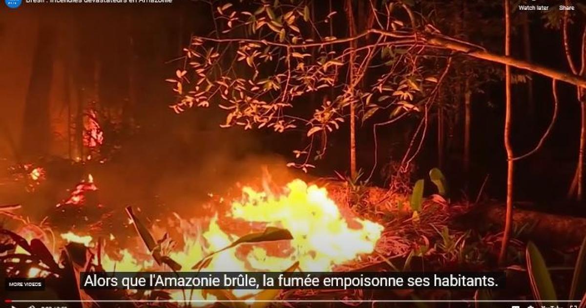 Brésil : Les incendies en Amazonie affectent la santé de milliers de  personnes | Human Rights Watch