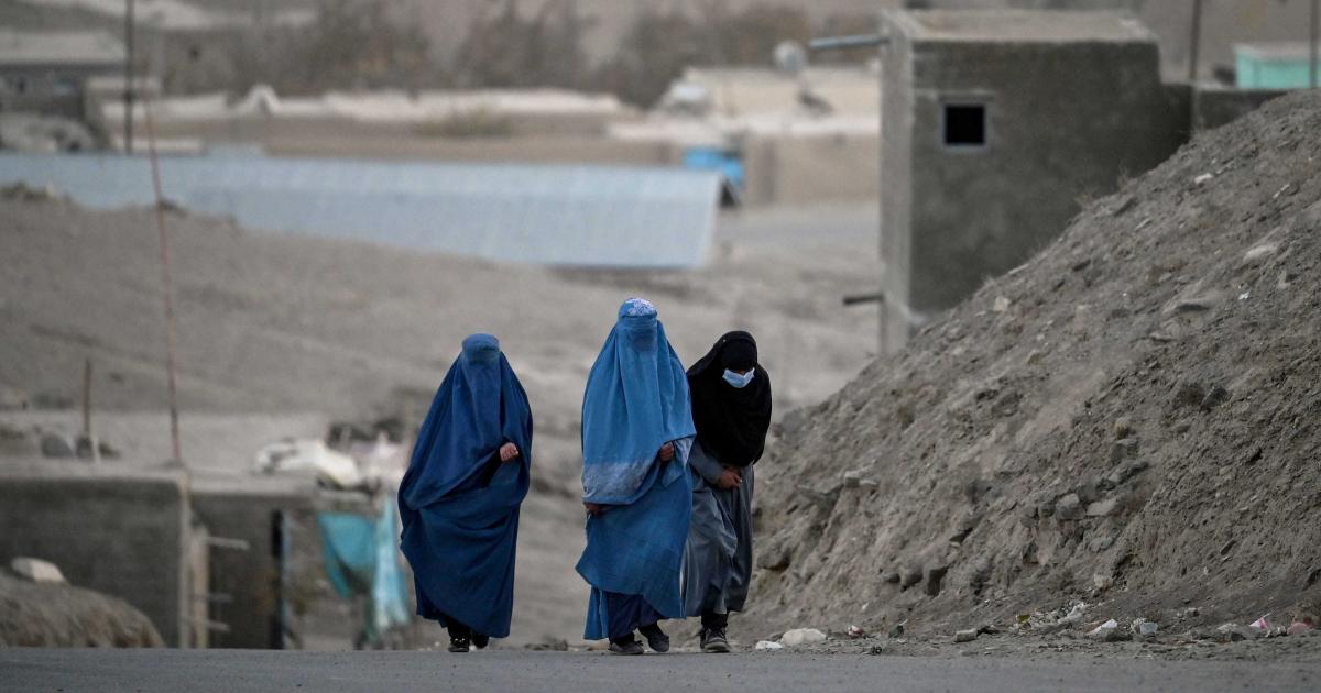In India Doctor Forces Nurse To Sex Videos - Afghanistan: Taliban Deprive Women of Livelihoods, Identity | Human Rights  Watch