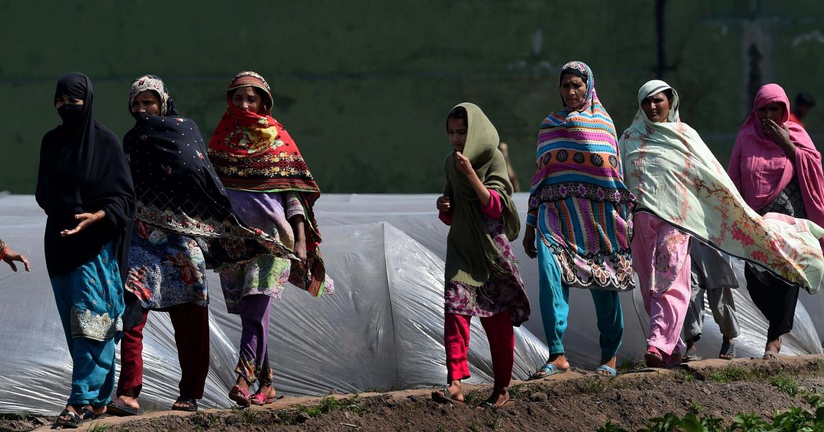 Xxx Video Nu Repe - Extreme Heat Dangers When Pregnant in Pakistan | Human Rights Watch