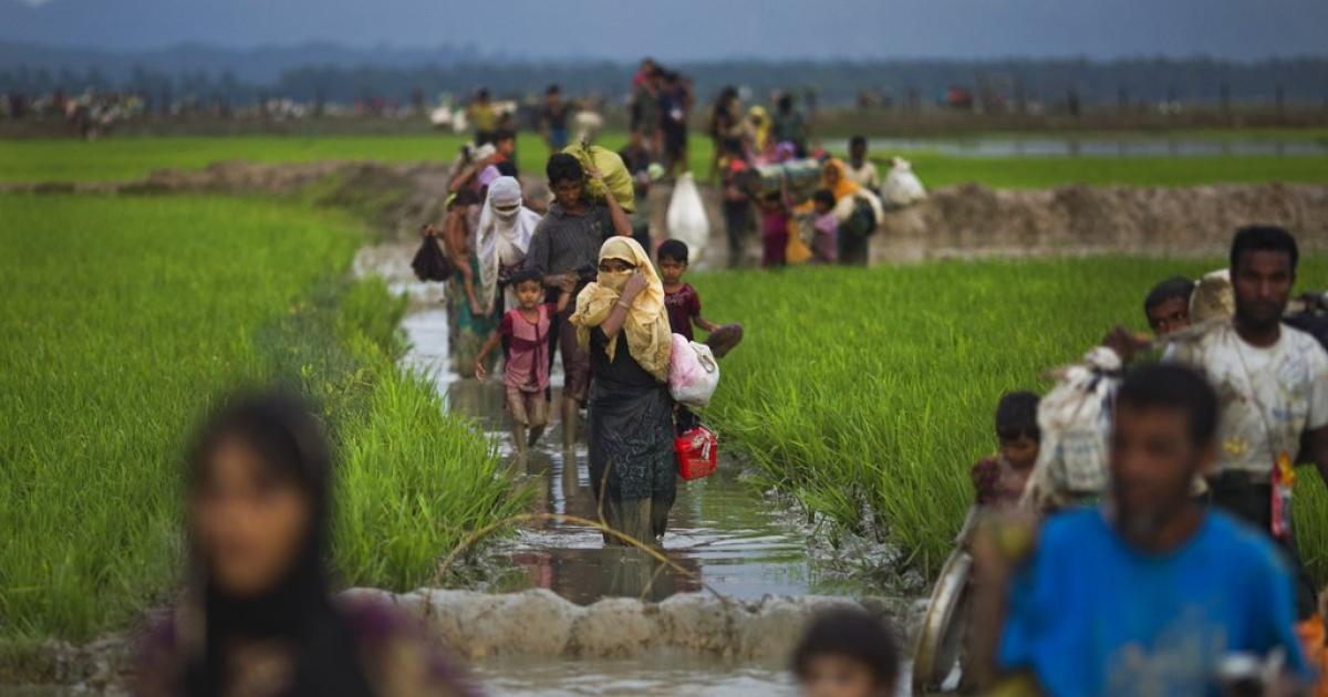 Changing of the guard as USA Rice elects news leadership - Rice Farming