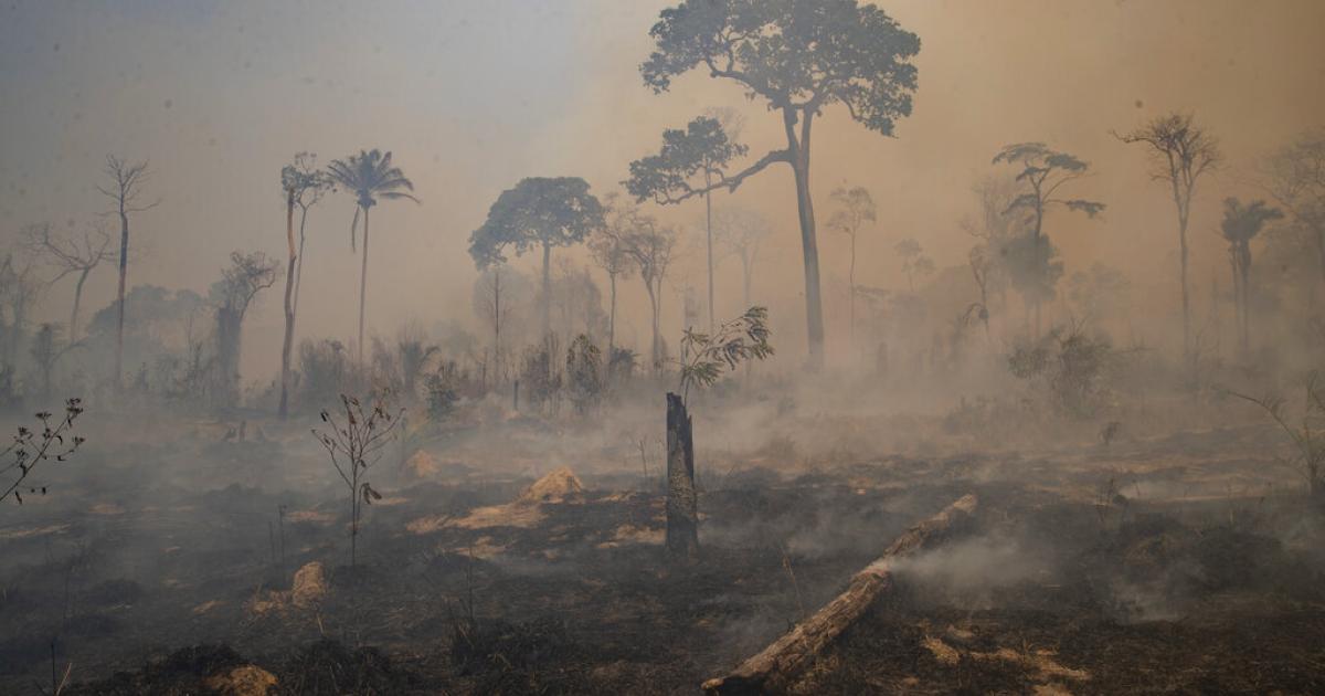 A Devastating Burning Season for the Brazilian Amazon Human