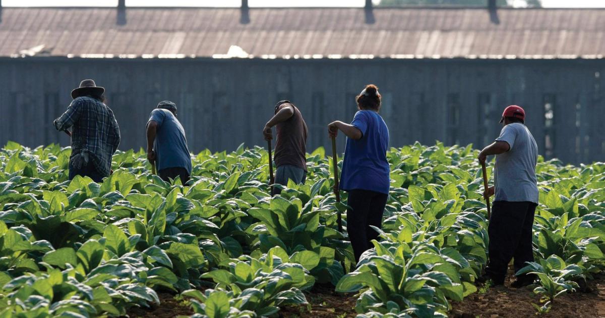 Nepal Garden Sex Videos - Cultivating Fear: The Vulnerability of Immigrant Farmworkers in the US to  Sexual Violence and Sexual Harassment | HRW