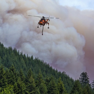 A helicopter flies over a wildfire in a forest