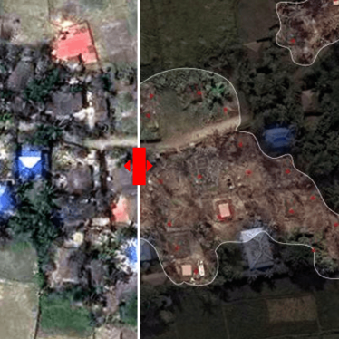 Human Rights Watch identified a total of 430 destroyed buildings in three villages of Maungdaw District from an analysis of very high resolution satellite imagery recorded on the mornings of October 22, November 3, and November 10, 2016.