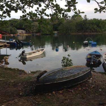 Tribunal reconoce el derecho a un medio ambiente saludable en las Américas