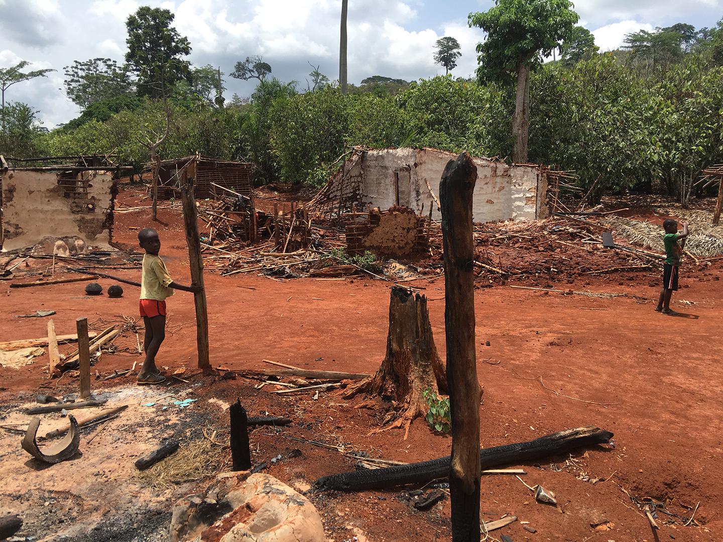 Côte d’Ivoire : Expulsions arbitraires d’habitants de forêts classées