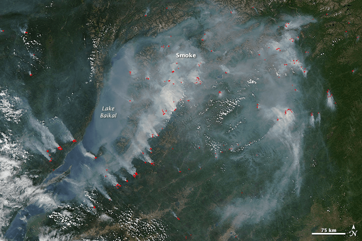 Russia: ‘Year of Ecology’ a Sham